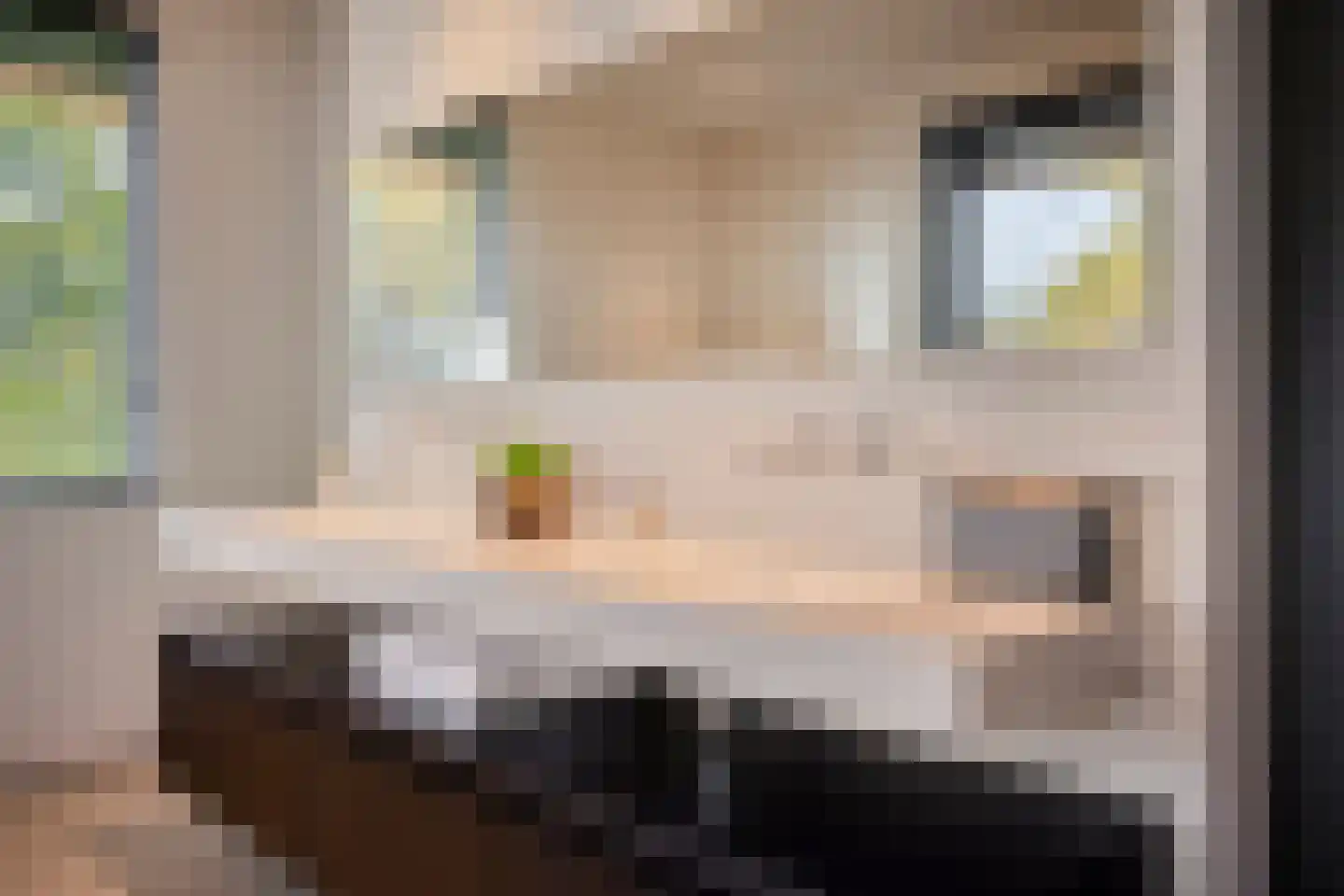 Schoonoordstraat 3 Waalre thumbnail 43