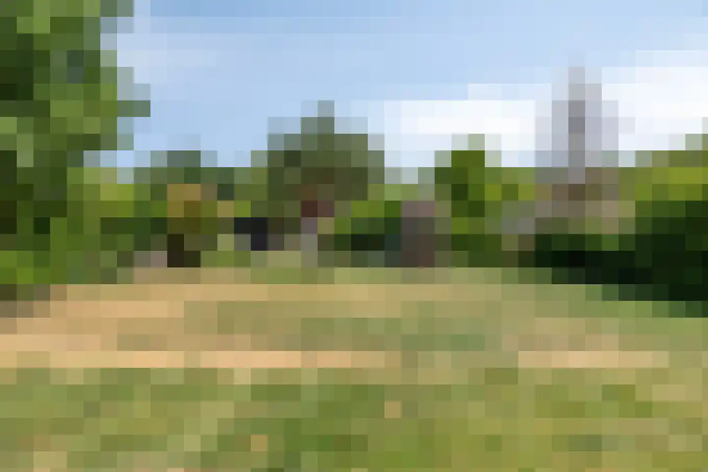 Schoonoordstraat 3 Waalre thumbnail 48