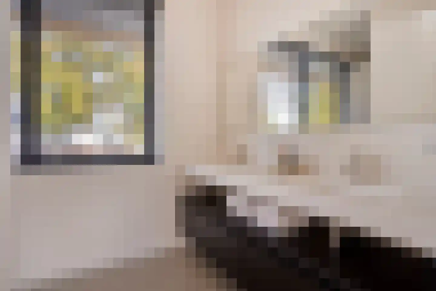 Schoonoordstraat 3 Waalre thumbnail 49