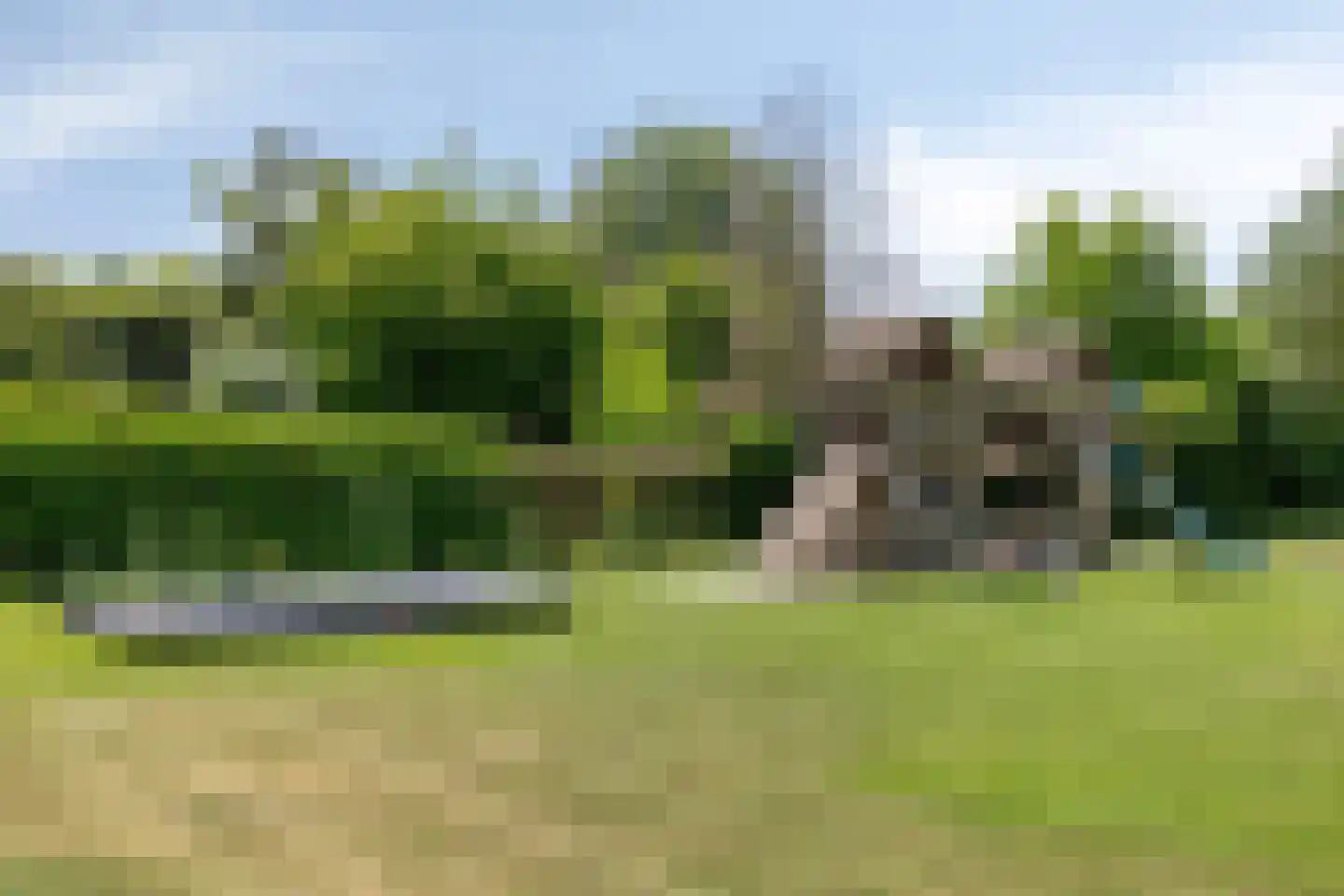 Schoonoordstraat 3 Waalre thumbnail 51