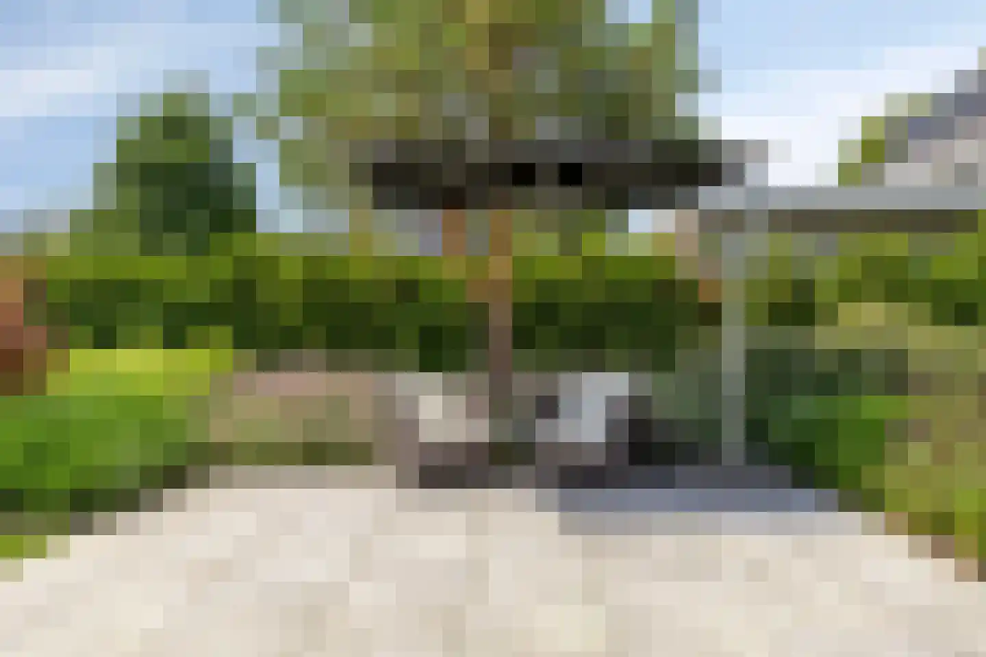 Schoonoordstraat 3 Waalre thumbnail 52
