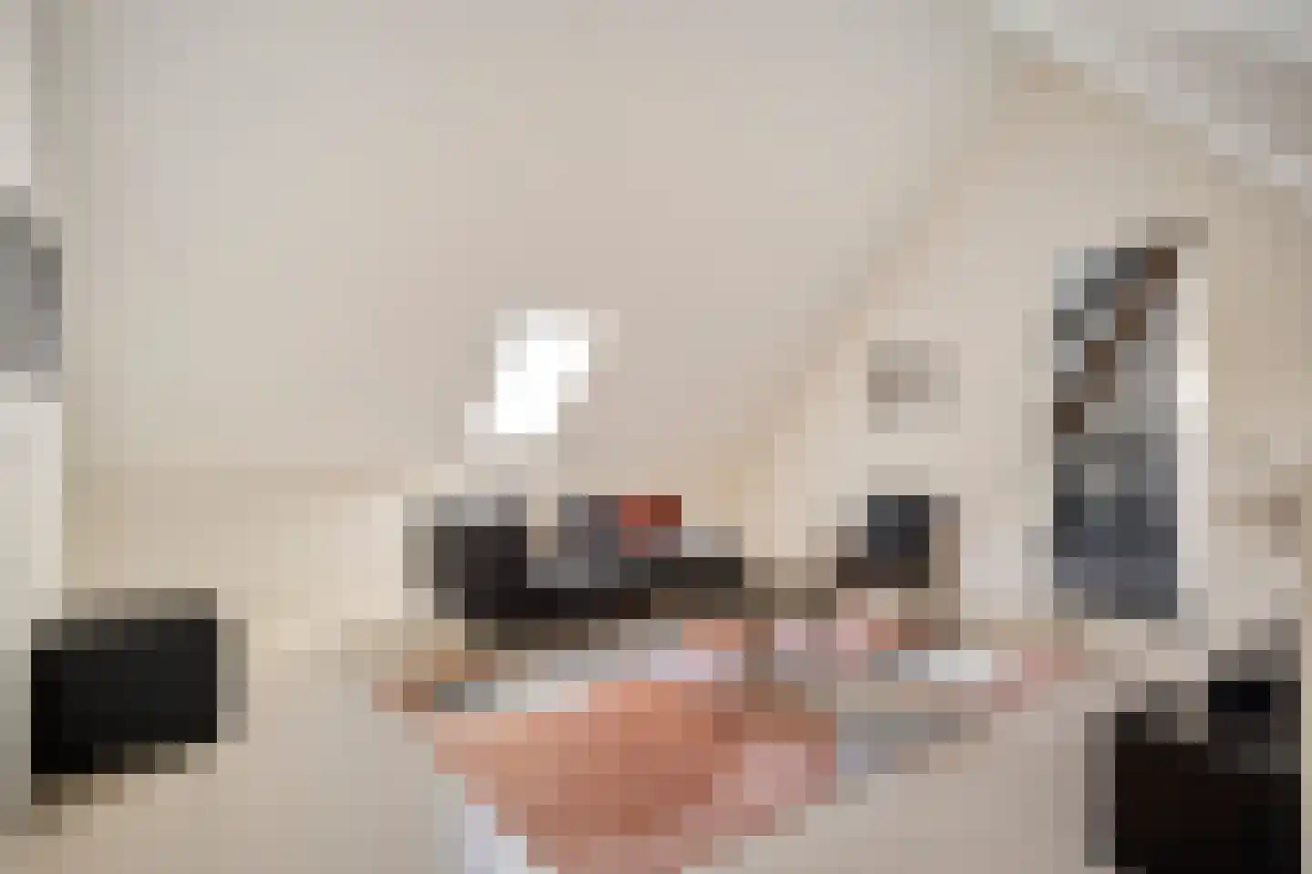 Schoonoordstraat 3 Waalre thumbnail 52