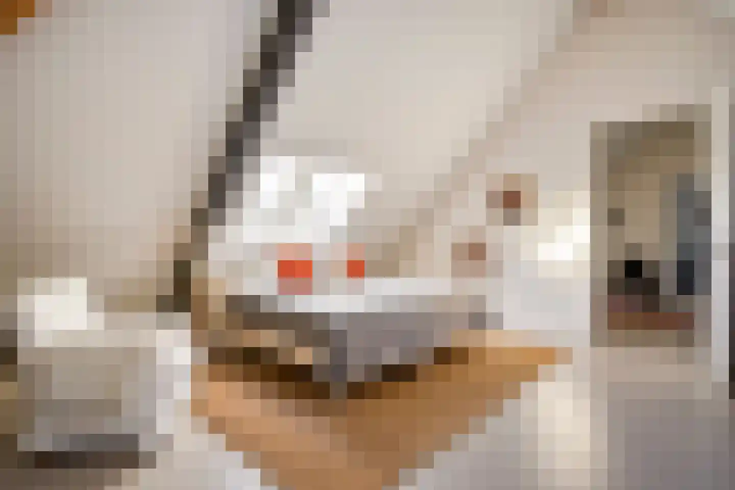 Schoonoordstraat 3 Waalre thumbnail 54