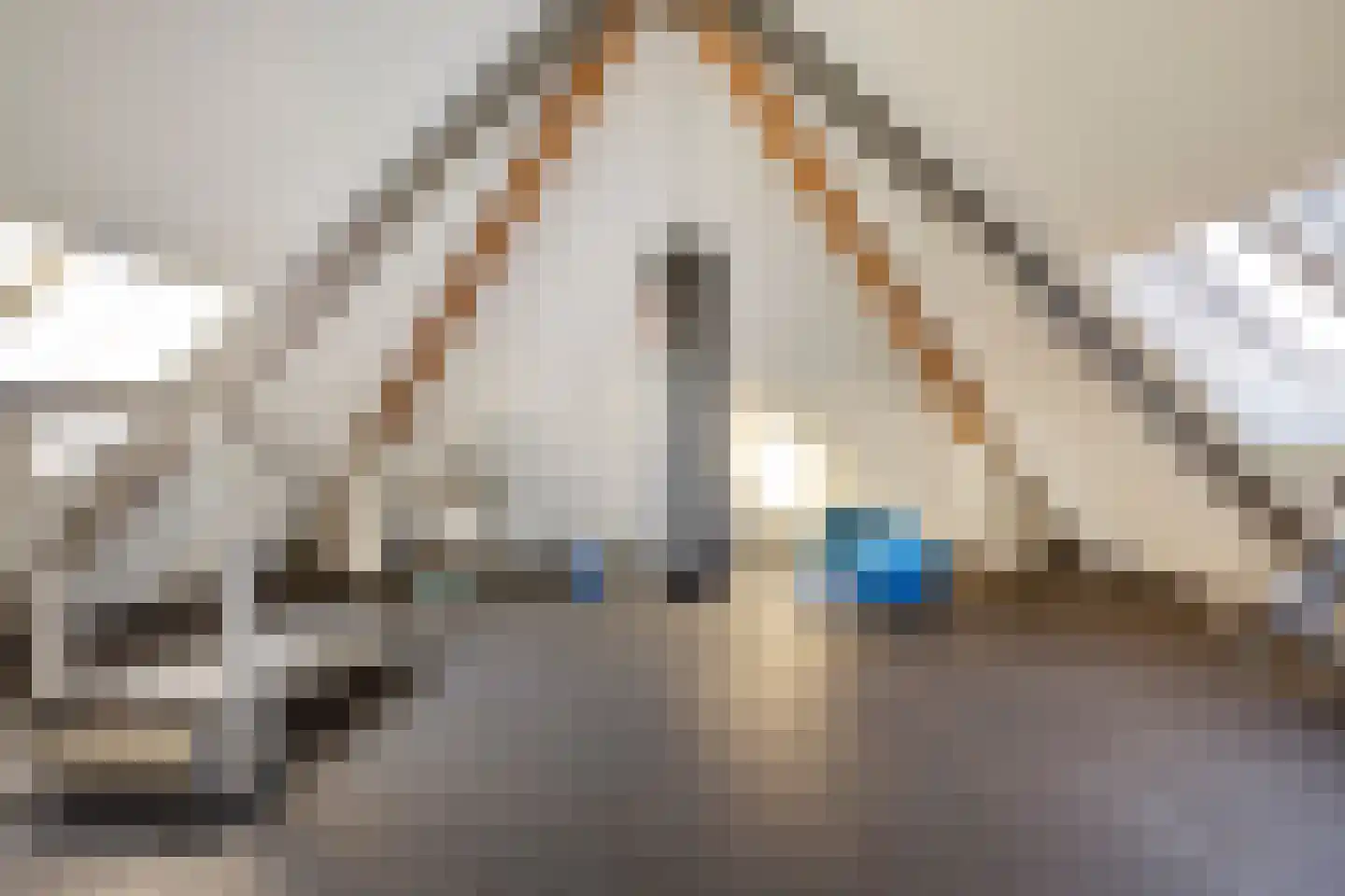 Schoonoordstraat 3 Waalre thumbnail 55