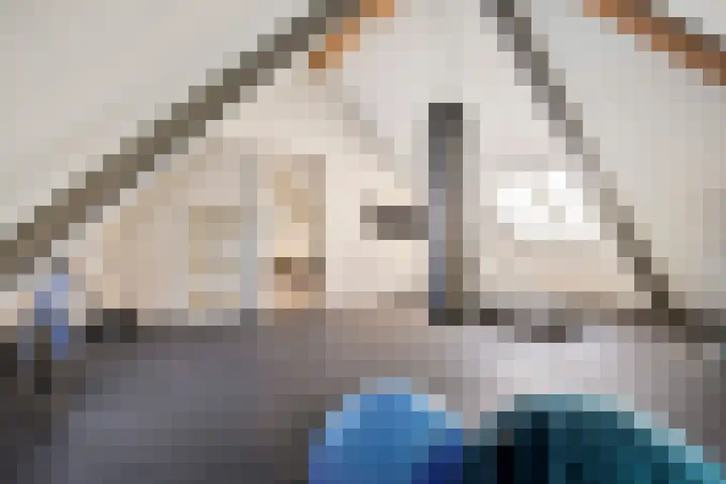 Schoonoordstraat 3 Waalre thumbnail 56