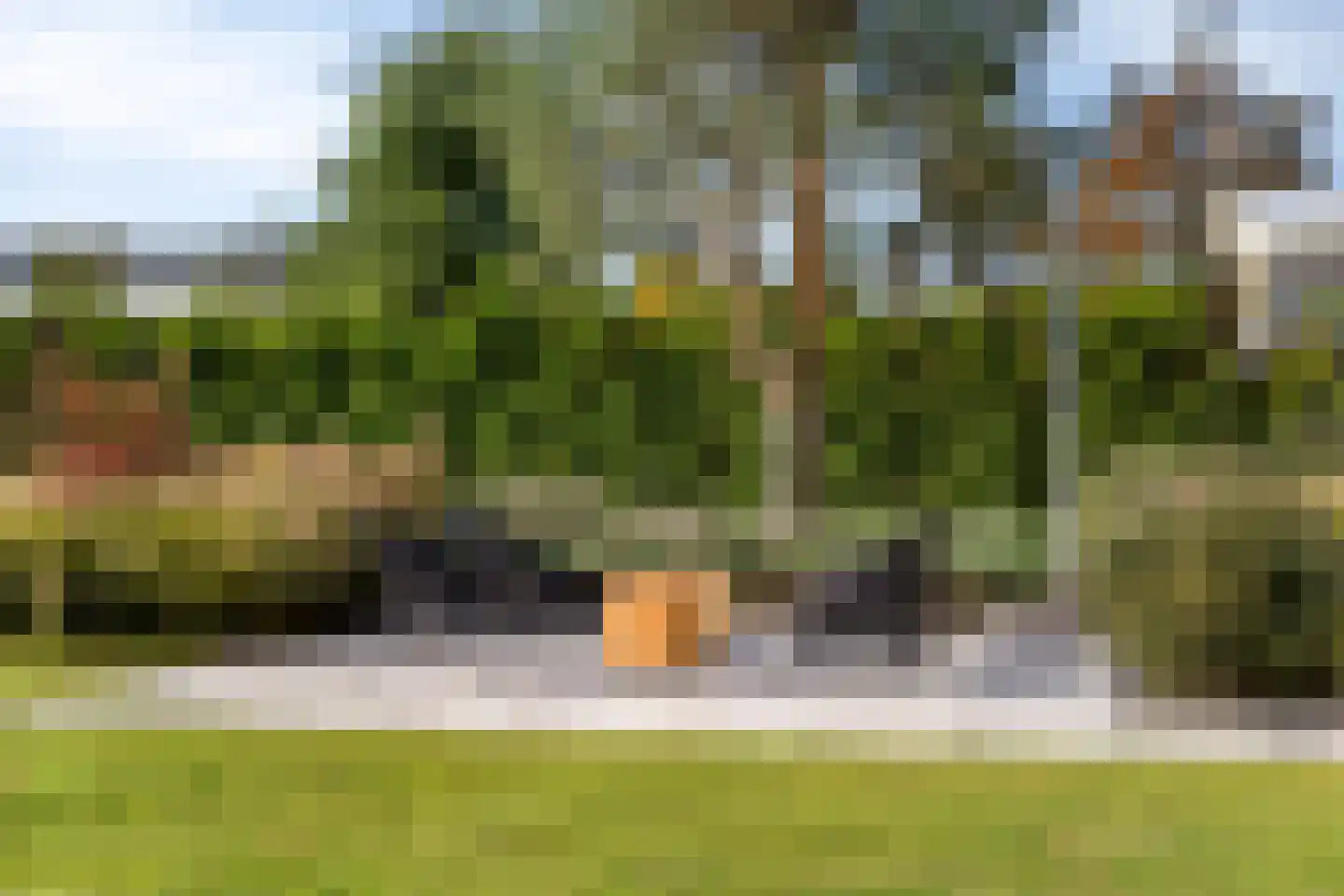 Schoonoordstraat 3 Waalre thumbnail 58
