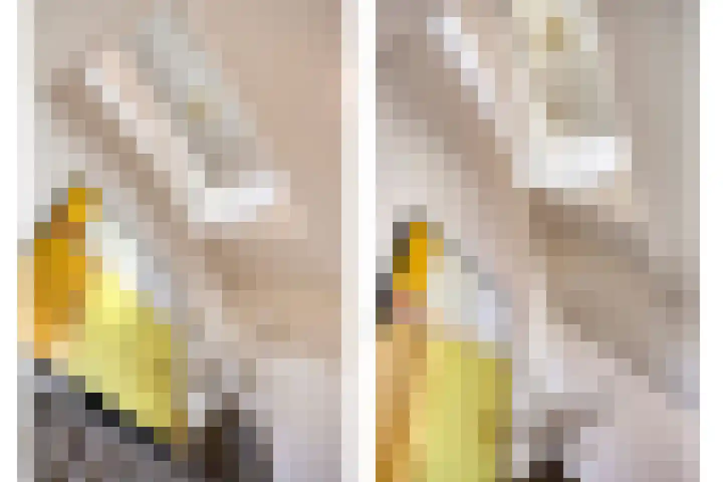 Schoonoordstraat 3 Waalre thumbnail 6