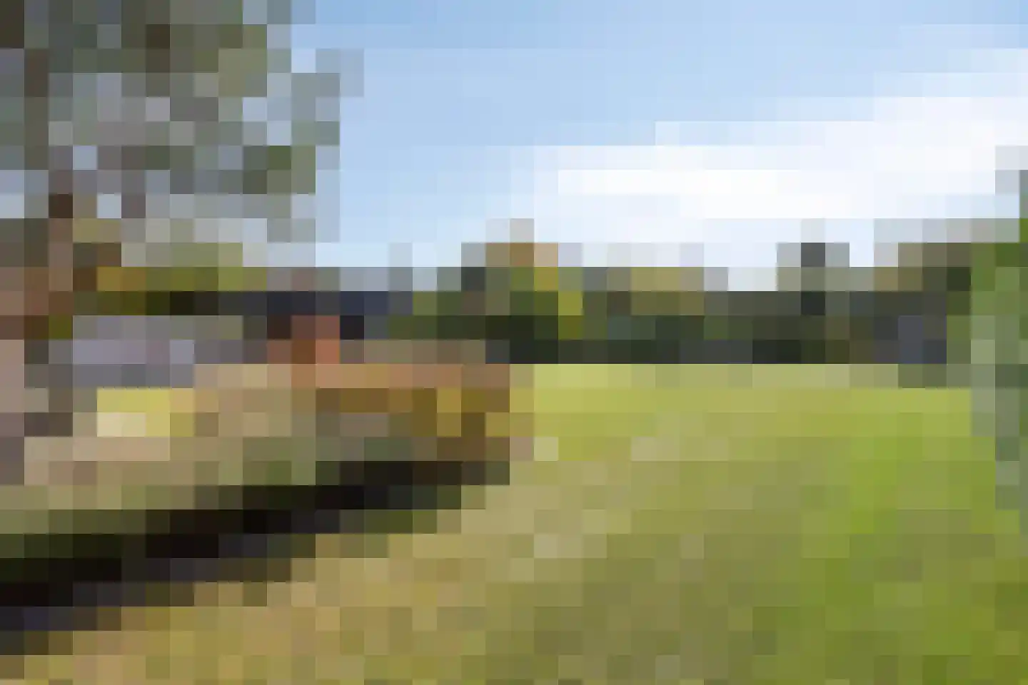 Schoonoordstraat 3 Waalre thumbnail 67