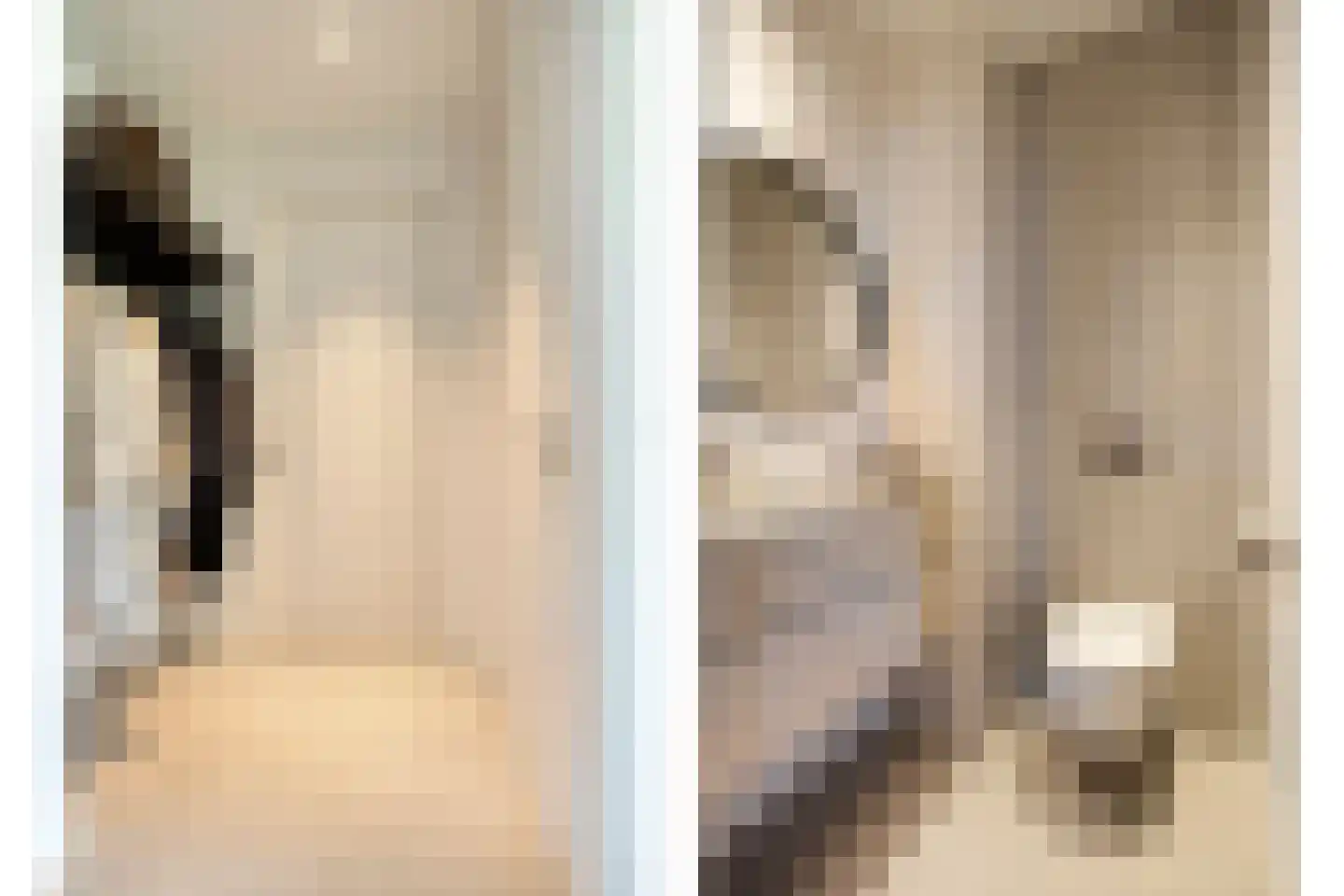 Schoonoordstraat 3 Waalre thumbnail 7