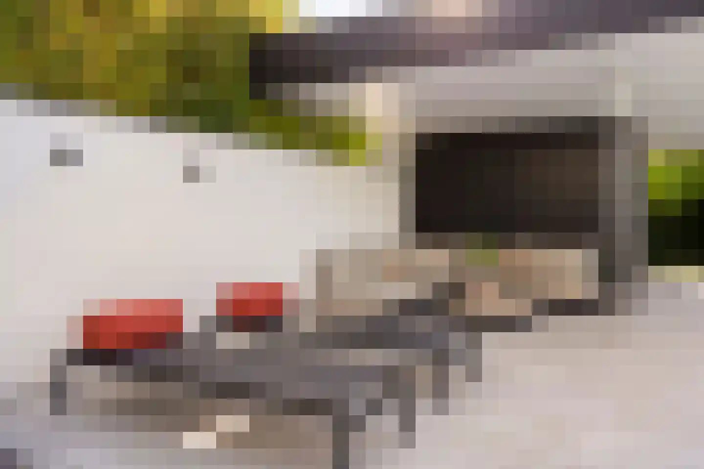 Schoonoordstraat 3 Waalre thumbnail 72