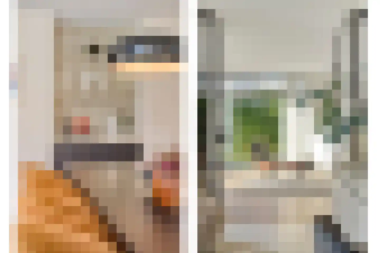 Schoonoordstraat 3 Waalre thumbnail 9