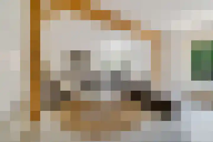 Schoonouwenseweg 12 Stolwijk thumbnail 10