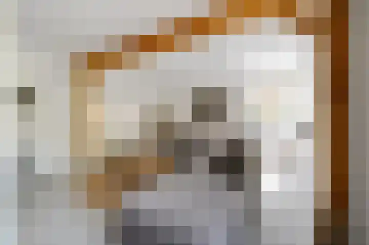 Schoonouwenseweg 12 Stolwijk thumbnail 11