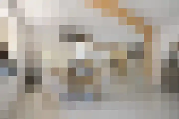 Schoonouwenseweg 12 Stolwijk thumbnail 12