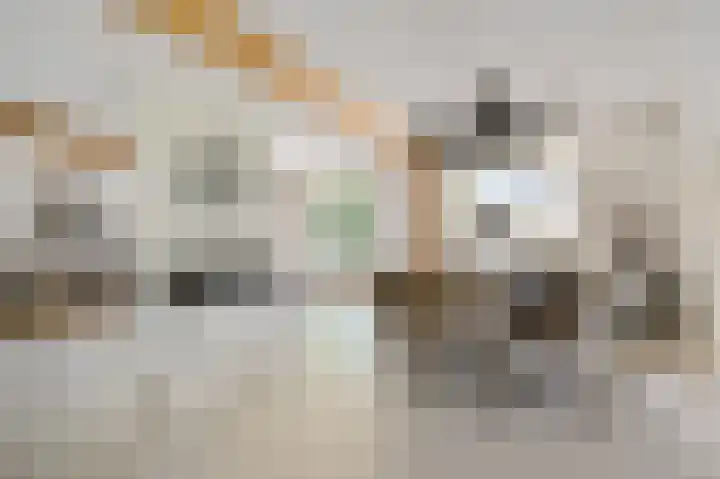 Schoonouwenseweg 12 Stolwijk thumbnail 13