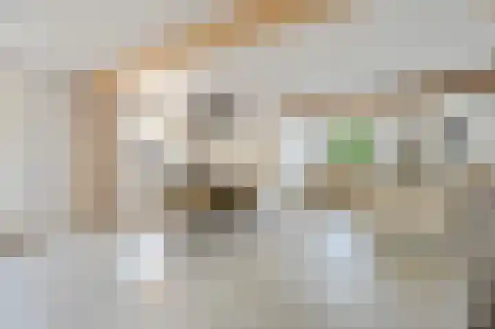 Schoonouwenseweg 12 Stolwijk thumbnail 14