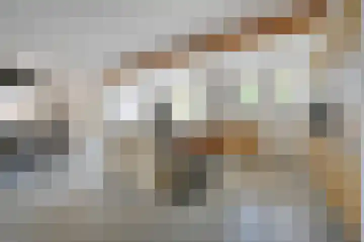 Schoonouwenseweg 12 Stolwijk thumbnail 16