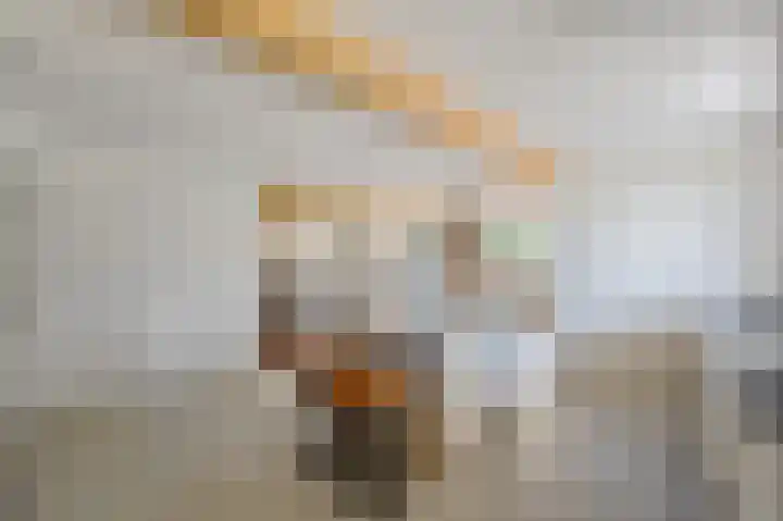 Schoonouwenseweg 12 Stolwijk thumbnail 17