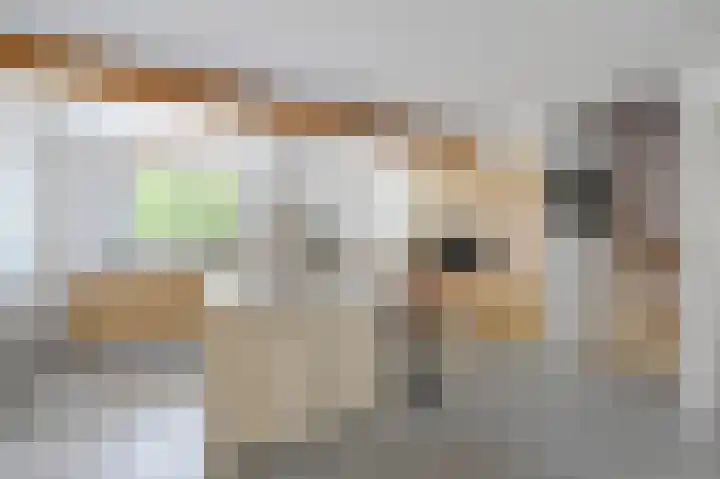 Schoonouwenseweg 12 Stolwijk thumbnail 18