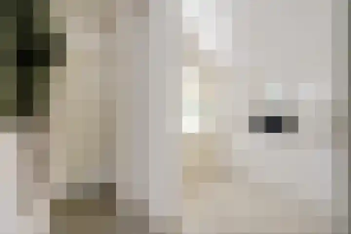 Schoonouwenseweg 12 Stolwijk thumbnail 20