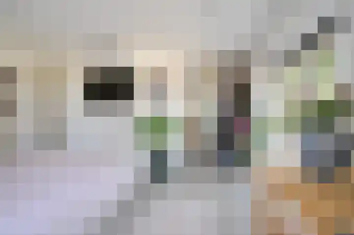 Schoonouwenseweg 12 Stolwijk thumbnail 24