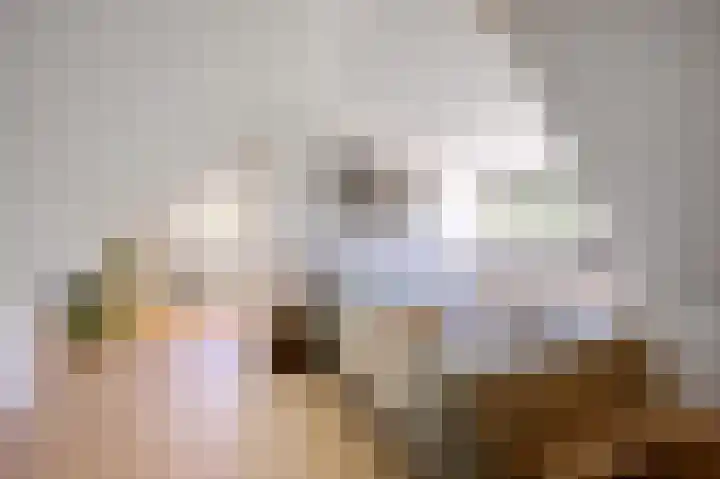 Schoonouwenseweg 12 Stolwijk thumbnail 26