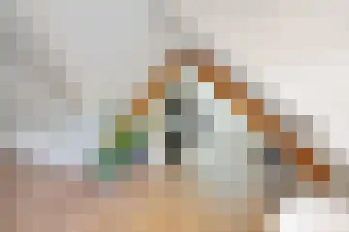 Schoonouwenseweg 12 Stolwijk thumbnail 30