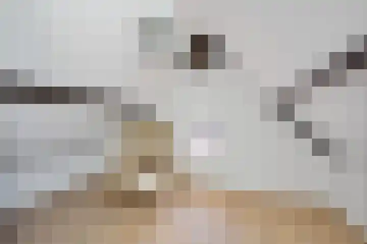 Schoonouwenseweg 12 Stolwijk thumbnail 32