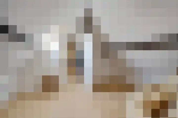 Schoonouwenseweg 12 Stolwijk thumbnail 33