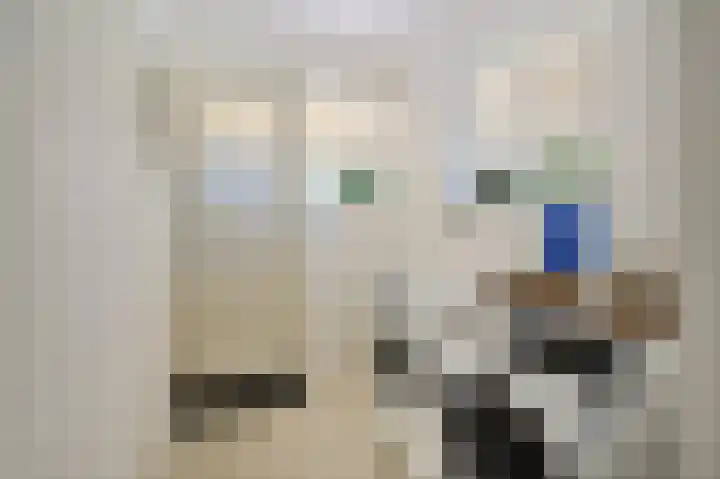 Schoonouwenseweg 12 Stolwijk thumbnail 36
