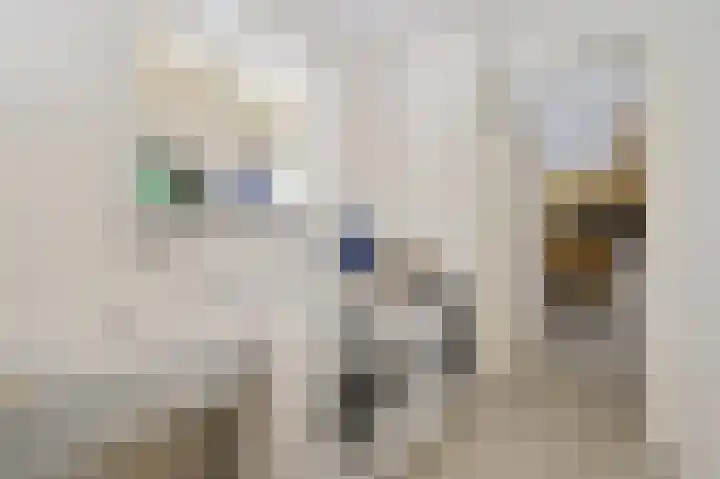 Schoonouwenseweg 12 Stolwijk thumbnail 37