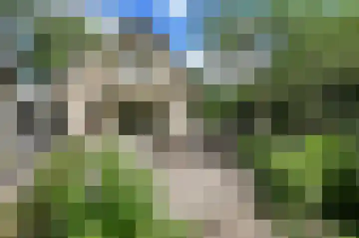 Schoonouwenseweg 12 Stolwijk thumbnail 39