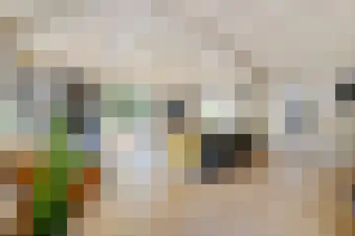 Schoonouwenseweg 12 Stolwijk thumbnail 42
