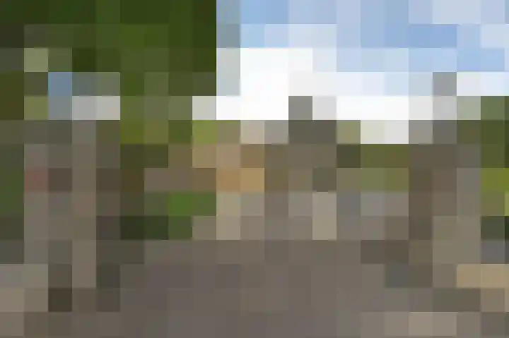 Schoonouwenseweg 12 Stolwijk thumbnail 5