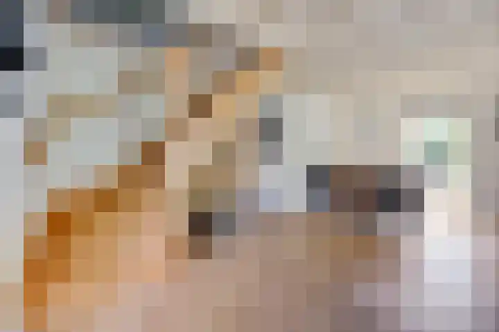 Schoonouwenseweg 12 Stolwijk thumbnail 51