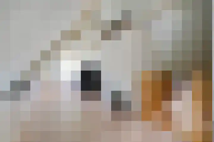 Schoonouwenseweg 12 Stolwijk thumbnail 52