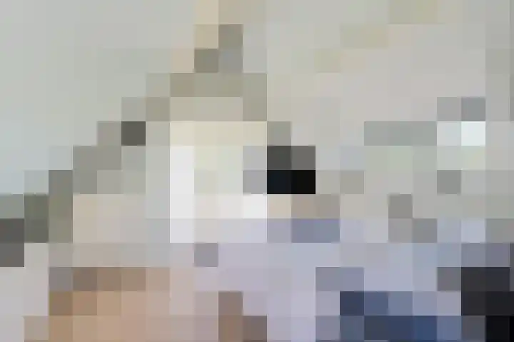 Schoonouwenseweg 12 Stolwijk thumbnail 54