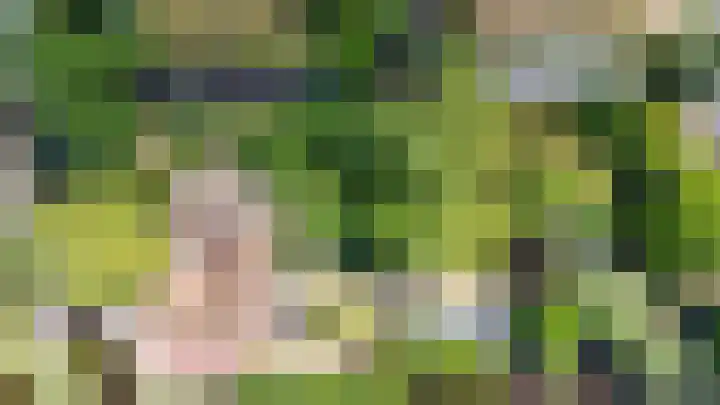 Schoonouwenseweg 12 Stolwijk thumbnail 6