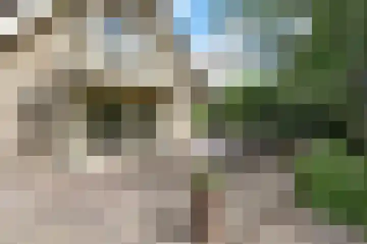 Schoonouwenseweg 12 Stolwijk thumbnail 61