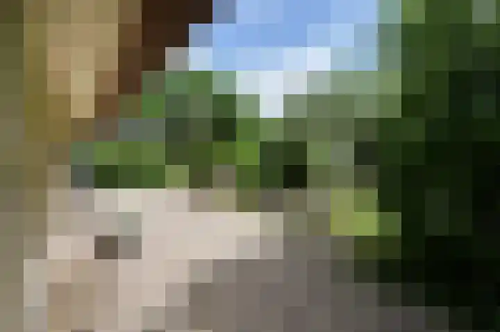 Schoonouwenseweg 12 Stolwijk thumbnail 62