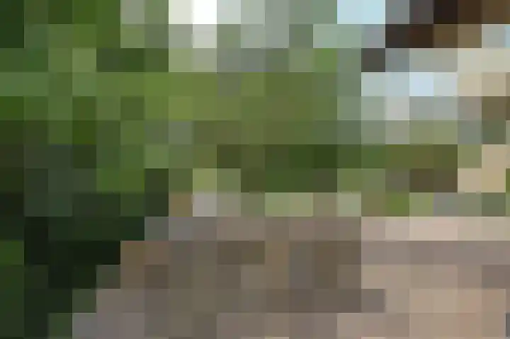 Schoonouwenseweg 12 Stolwijk thumbnail 64