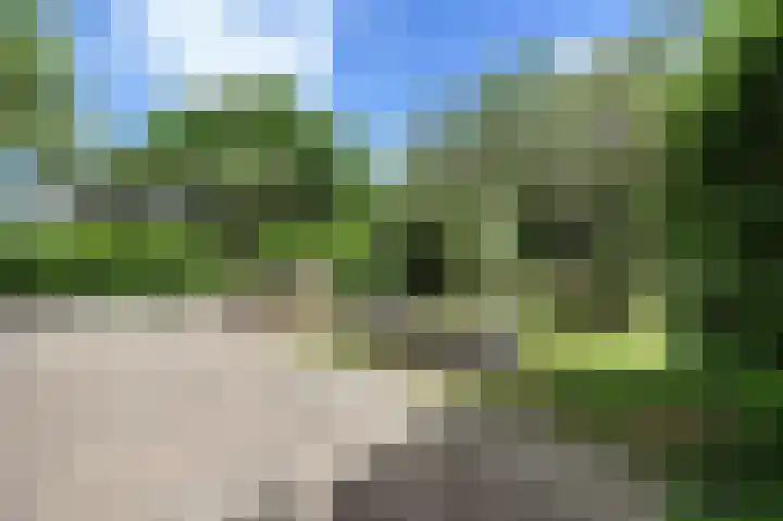 Schoonouwenseweg 12 Stolwijk thumbnail 66