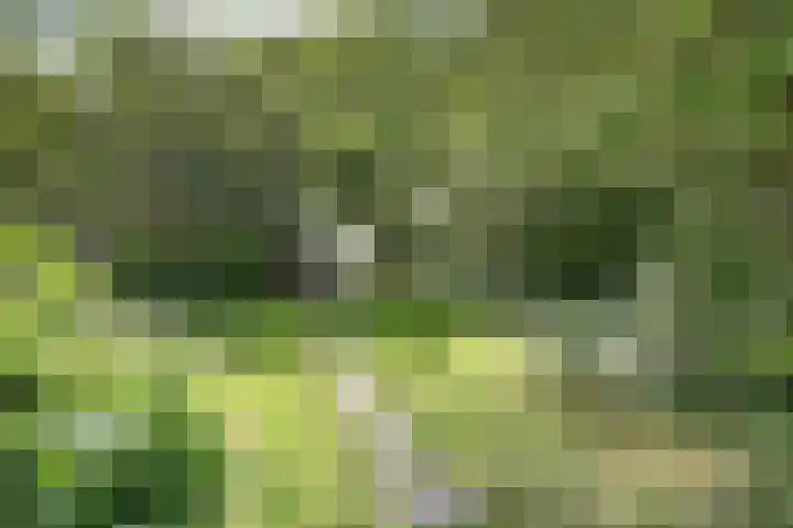 Schoonouwenseweg 12 Stolwijk thumbnail 67