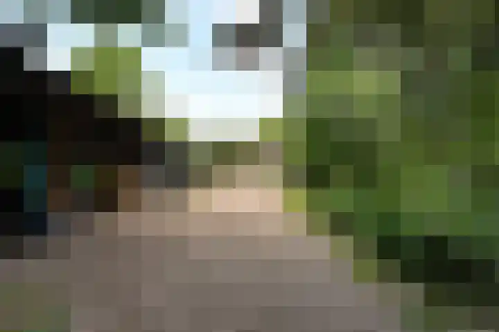 Schoonouwenseweg 12 Stolwijk thumbnail 68