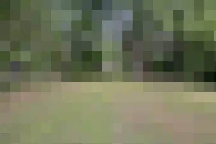 Schoonouwenseweg 12 Stolwijk thumbnail 69