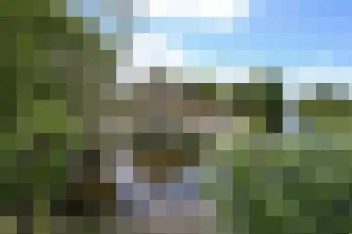 Schoonouwenseweg 12 Stolwijk thumbnail 74