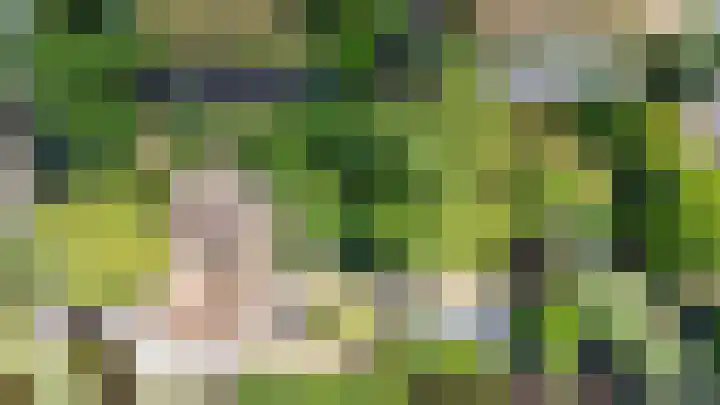 Schoonouwenseweg 12 Stolwijk thumbnail 77