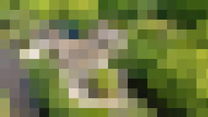 Schoonouwenseweg 12 Stolwijk thumbnail 78