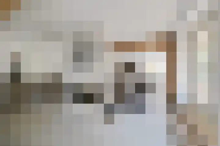 Schoonouwenseweg 12 Stolwijk thumbnail 8