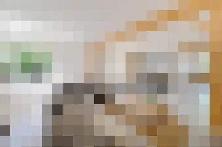 Schoonouwenseweg 12 Stolwijk thumbnail 9